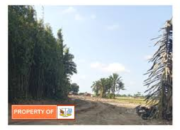 Luar Biasa.. Diduga Pengusaha Galian C Ilegal Bantaran Sungai Ular Keramat Gajah Kecamatan Galang Kebal Hukum