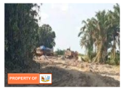 Galian C Ilegal Desa Araskabu Kecamatan Beringin Meresahkan Warga APH Diminta Segera Bertindak