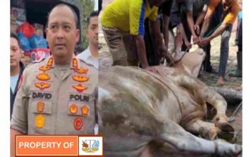 Kapolres Langkat dan jajaran berkurban 10 ekor sapi serta sejumlah kambing, wujud kepedulian kepada masyarakat di hari raya Idul Adha