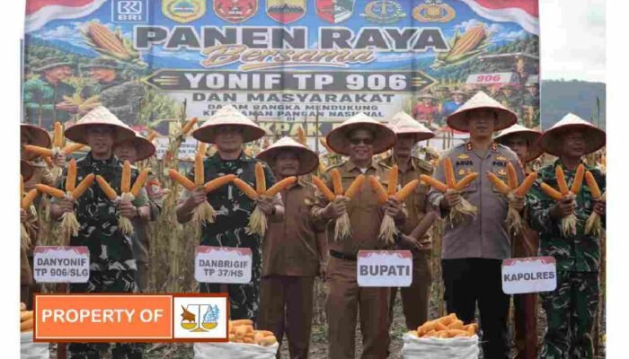 Bataliyon TP 906,/ Sanalenggam gelar panen raya jagung
