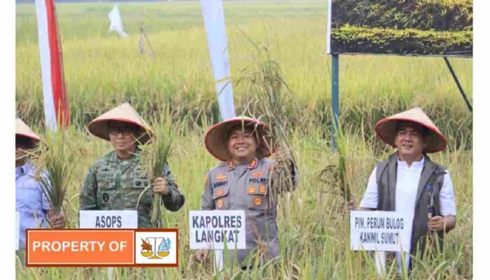 Kapolres Langkat Bersama TNI dan Forkopimda Hadiri Panen Raya Nasional di Sirapit, Perkuat Ketahanan Pangan Indonesia