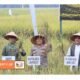 Kapolres Langkat Bersama TNI dan Forkopimda Hadiri Panen Raya Nasional di Sirapit, Perkuat Ketahanan Pangan Indonesia