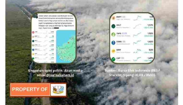 Di Tengah Kebakaran Hutan dan Lahan Karhutla di Kalimantan, Muncul Data Saham Perusahaan Sawit Mengalami Naik Pesat.