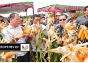 Bupati Humbahas bersama Pdt. Gilbert Lumoindong Kunjungi ‘Lumbung Berkat’