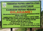 LAHAN PT SAB/KSU AMELIA YANG DIEKSEKUSI DINAS KEHUTANAN SUMUT KEMBALI BEROPETASI