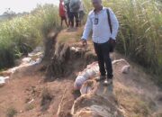 Forum Das Citarum Siap Laporkan Pelaku Eksplotasi Ke Kepolisian