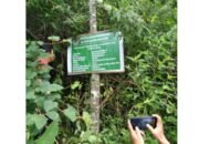 Ditenggarai Merugikan Negara Hingga Milyaran, NCW Siap Laporkan ‘Kongkalikong Paket Proyek Penanaman RHL