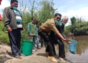 PT TPL Tabur Benih Ikan di DAS Aek Sibundong