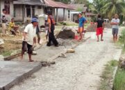 Masyarakat Desa Hilimaenomolo Apersiasi Pelaksanaan DD 2020 Tepat Sasaran