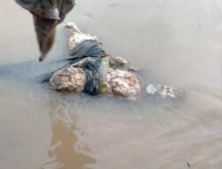 BREAKING NEWS, Warga Tengah Ulu Temukan Jasad Membusuk Yang Mengapung di Sungai Batanghari