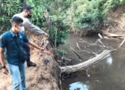 Air Sungai Hitam Pekat, Puluhan Ikan di Sungai Rengas Mati dan Keracunan