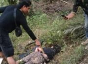 Dikabarkan Yuhdi Alias Santoso Tewas Diujung Peluru Tim Buser Polres Batanghari