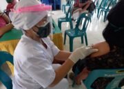 Vaksinasi massal dikecamatan parmaksian kabupaten Toba berjalan baik.