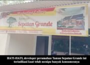 Ditenggarai Pengembang Perumahan Sebarkan Berita Hoax, Ini Kata Ketum PPWI