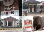 KPK Vs Toilet Sultan