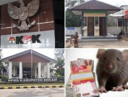 KPK Vs Toilet Sultan