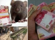 Konsultan dan Pengawas Tak Berati Uang Rakyat di Makan Rayap