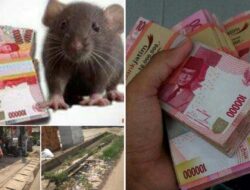 Konsultan dan Pengawas Tak Berati Uang Rakyat di Makan Rayap