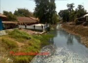 Aliran Sungai Cilamaya yang setiap hari menimbulkan bau Tak Sedap Menyengat