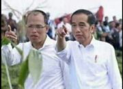 Melirik Keberhasilan Bupati Dosmar Ubah Kab. Humbahas