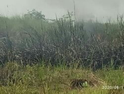 Lahan Kosong Milik Apera Terbakar, Api Diduga akibat musim panas yang terik