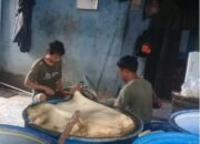 Di Kab Bekasi, Disinyalir Ada Pabrik Kikil Pakai Bahan Kimia?