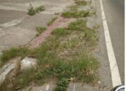 NCW Tuding Pemerintahan Walikota Prabumulih Sarat ‘KKN