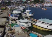 jasa ekspedisi jakarta ke makassar