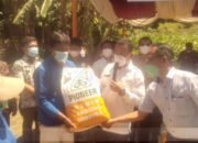 Pemerintah kabupaten Toba Sumatera Utara Bantu Benih Jagung Rp 6 Miliar untuk Petani