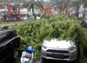 Pohon Tumbang Menimpa 4 Mobil, Pengelola Grand Wisata Tidak Beri Ganti Rugi