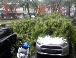 Pohon Tumbang Menimpa 4 Mobil, Pengelola Grand Wisata Tidak Beri Ganti Rugi