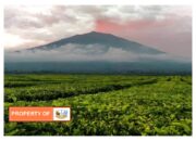 Liburan Lebaran Traveling Kemana ? Ke Kerinci  Yok !!!