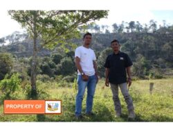 Ketua NGO Sumatera forest survei lapangan PKR eucalyptus