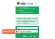 Pengumuman Hasil Seleksi PPDB Tahap 1, Menuai Banyak Pertanyaan