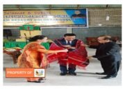 Wabup Humbahas, Hadiri Peresmian GKPI Natam Resort Doloksanggul II