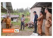 Bupati Humbahas Tinjau Peternakan Sapi di Pollung dan Sijamapolang