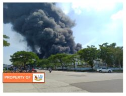 PT Frina Lestari Nusantara kawasan GIIC Deltamas di kabupaten Bekasi Terbakar