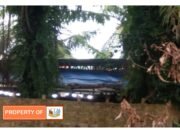 Diduga Adu Ayam Merajalela Di Pantai Cermin Serdang Bedagai Sumatera Utara