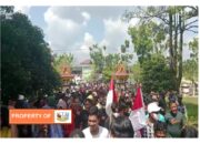 Ribuan Warga Kabupaten Pelalawan Merasa Tertindas, Akan Laporkan Ke Presiden Jokowi