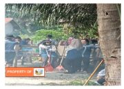 Kegiatan kades dan perangkat desa, mahasiswa- mahasiswa Sari Mutiara, USU Medan