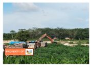 Hebat Mafia Tanah di bantaran Sungai Ular, tak terjamah hukum di Deli Serdang