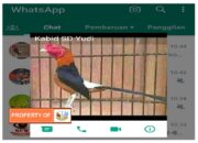 Kabid SD Ditenggarai Melindungi Dugaan Kejahatan Melawan Hukum Para Oknum Kepala Sekolah