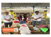 Artis Tiktok Br Sianturi Berikan  Bantuan Sosial Kepada Korban Bencana di Desa Simangulampe