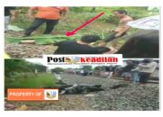Pemotor Ditabrak Kereta Api Penumpang Bukit Serelo Tujuan Lubuk Linggau Satu Tewas di tempat