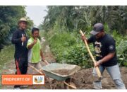 Kades Tanjung Garbus Kampung HARDONO : Giat Jumat Bersih Indah , Sehat dan Ibadah