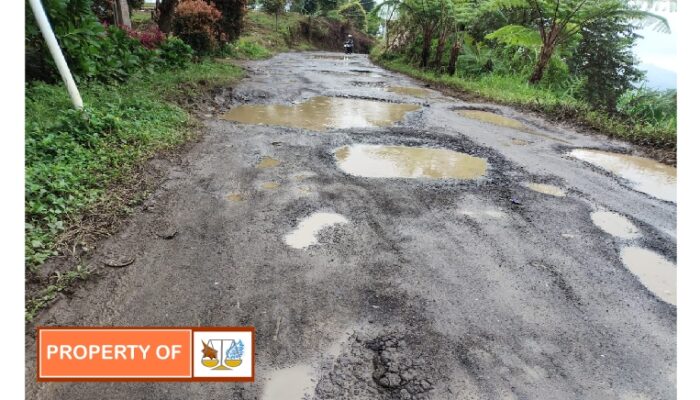 Warga sukawangi kecamatan Sukamakmur minta perbaikan dan perawatan jalan ruas Arca gunung batu