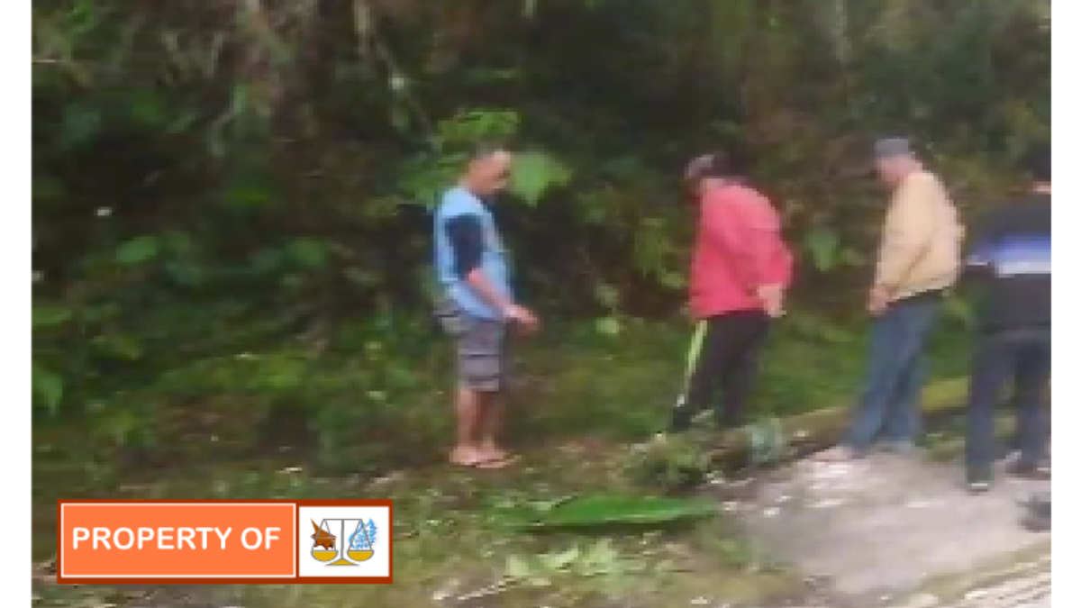 Surat Terbuka Kepada Yth: Menteri Lingkungan Hidup dan Kehutanan Republik Indonesia u.p. Bapak Raja Juli Antoni