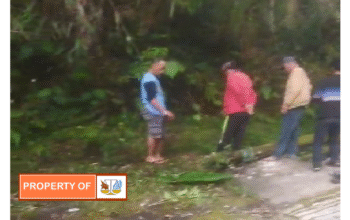 Surat Terbuka Kepada Yth: Menteri Lingkungan Hidup dan Kehutanan Republik Indonesia u.p. Bapak Raja Juli Antoni