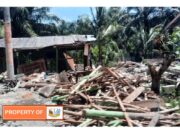 PTP.Nusantara – II akan Bersihkan Areal HGU 103 Bulu China Untuk Tingkatkan Produksi K.Sawit