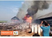 Kandang Ayam Ludes Terbakar Diduga Konsleting Listrik